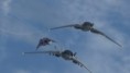 /album/f-302/a302s-chased-jpg/